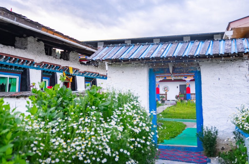 文旅新探・夏游西藏｜鲁朗写生记：云海漫卷林海间