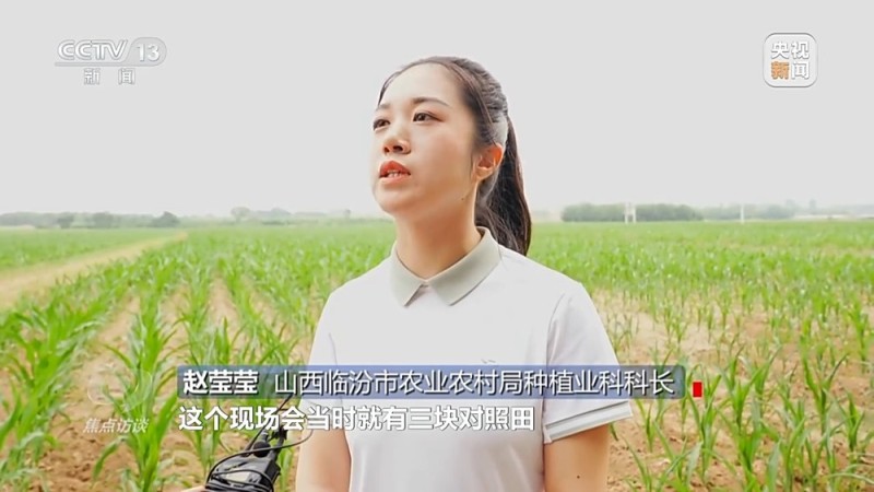 焦点访谈丨“一喷三防”、水肥一体化滴灌 我国夏粮产区抗旱有妙招