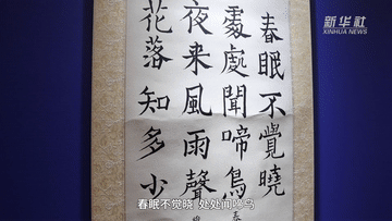 新华全媒+｜2025上合组织国家文明对话在天津举行 意在促进理解深化互信