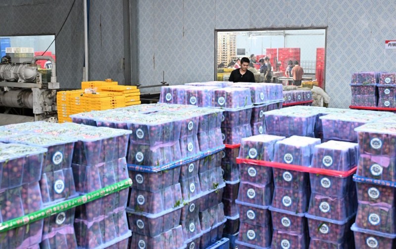 年中经济观察｜2025年中国外贸半年报：稳中有增 优中有升