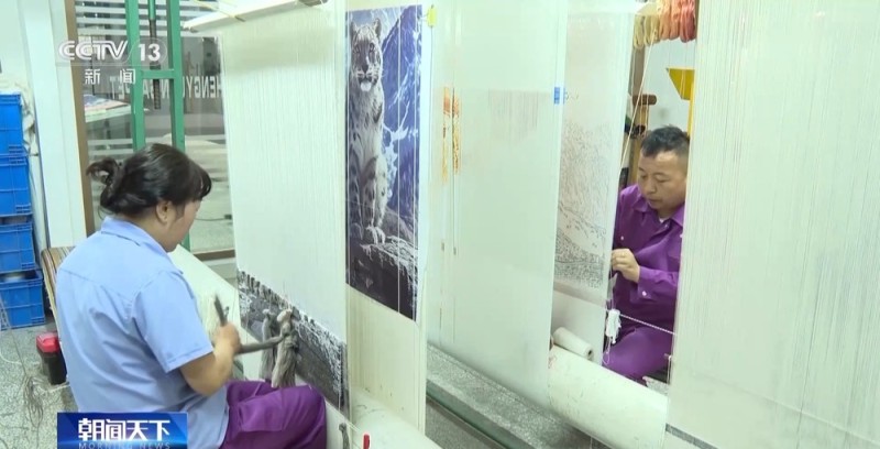 活力中国调研行丨从日用品到艺术品 青海藏毯织出“创新范儿”