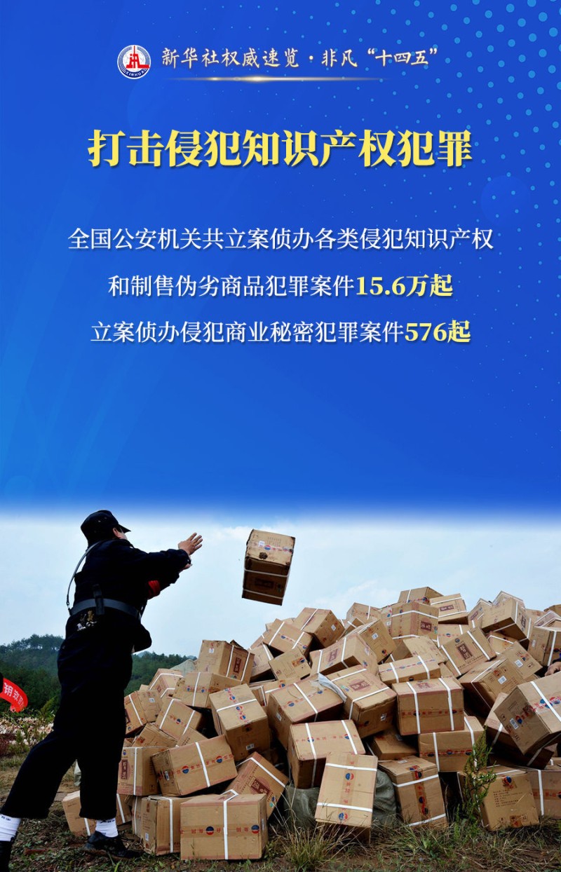 新华社权威速览・非凡“十四五”| 守护“平安中国”，公安机关这样干