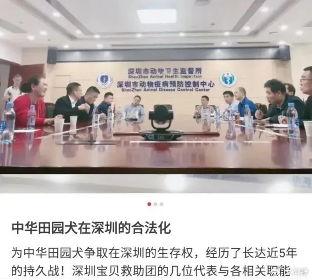 多地官宣：解禁！中华田园犬终获身份