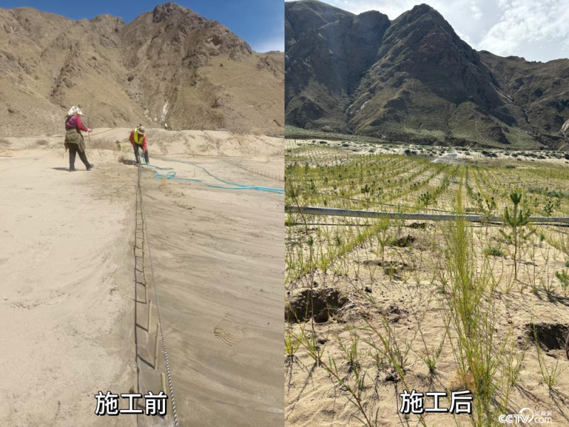 辉煌60年・我们的家园万山披绿日渐浓 雪域高原谱新篇