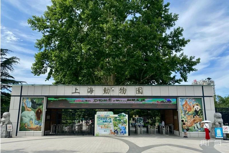 看丹观察丨父母喂10月龄婴儿喝奶被赶！网友：“文明观展”容不下一瓶奶吗？