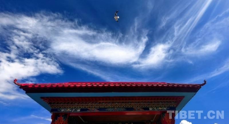 辉煌60年・我们的家园｜昔日荒滩变身美景 拉萨的诗意写在绿水青山间