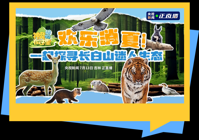 总台周末看点丨跟着总台游中国