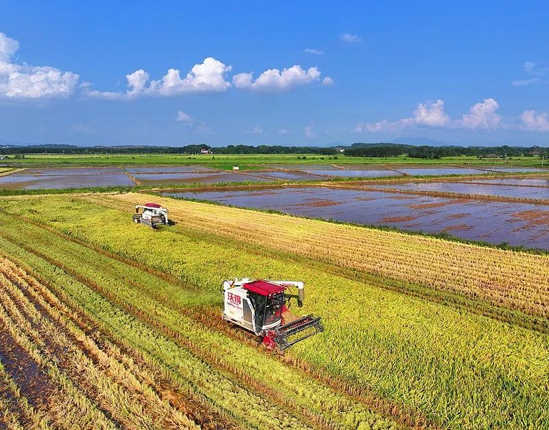 7点出发｜孩子离世家长获赔88万，律师拿走55万？广州律协通报