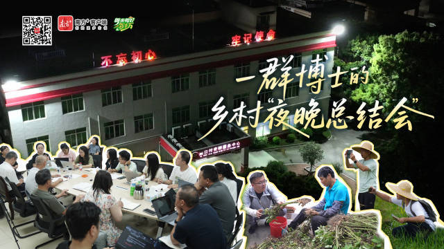 一群博士的乡村“夜总会”