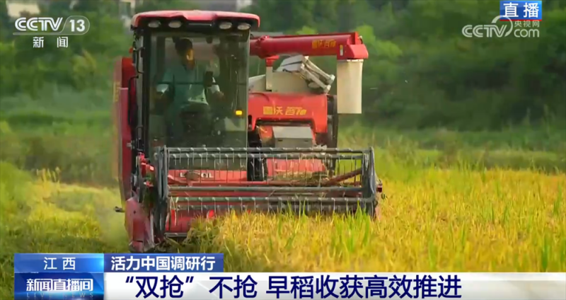 良机良种良技绘就早稻好“丰”景 “新农人”正逐渐成为“兴农人”