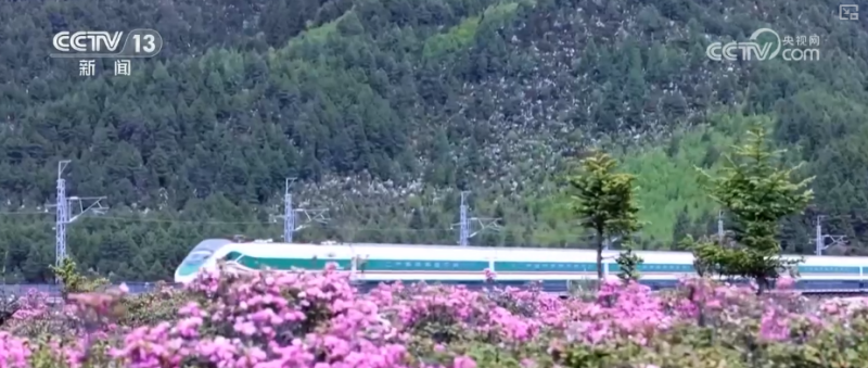 县域文旅经济“出圈”又“出彩”  中式美学、路景融合撬动经济新支点
