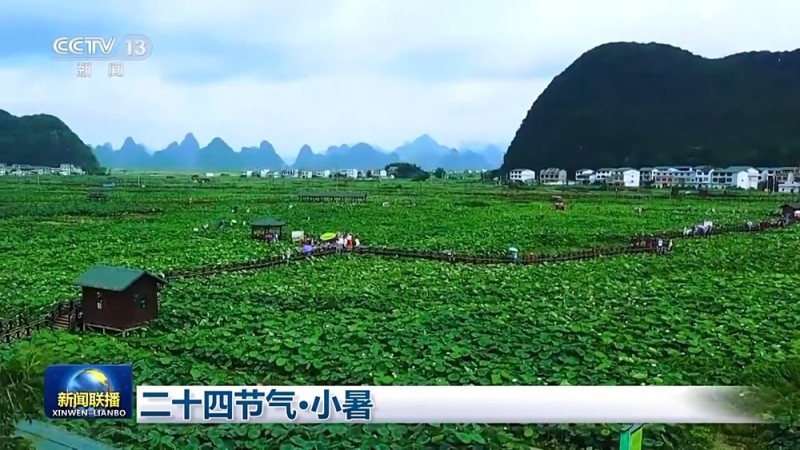 文化中国行丨二十四节气・小暑 感受节气里的自然律动