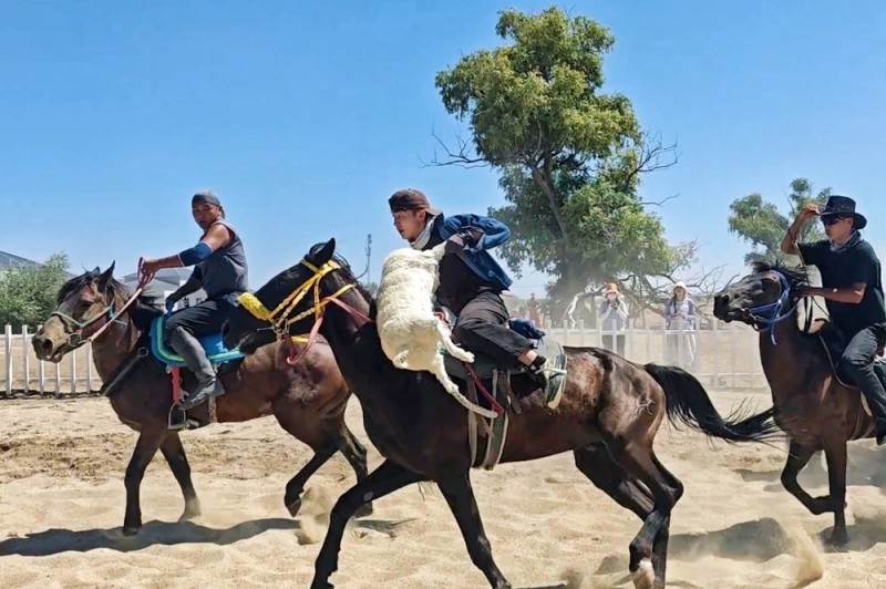 石榴花开 籽籽同心丨走进彩虹布拉克 沉浸式体验阿勒泰风土人情