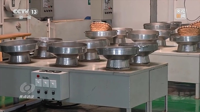 焦点访谈丨从理念到行动，中国的生态实践为世界提供绿色转型样本