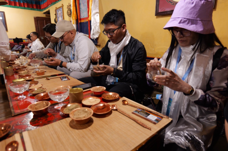 “中国在保护自然环境的同时实现了高度现代化！”――多国记者眼中的现代西藏