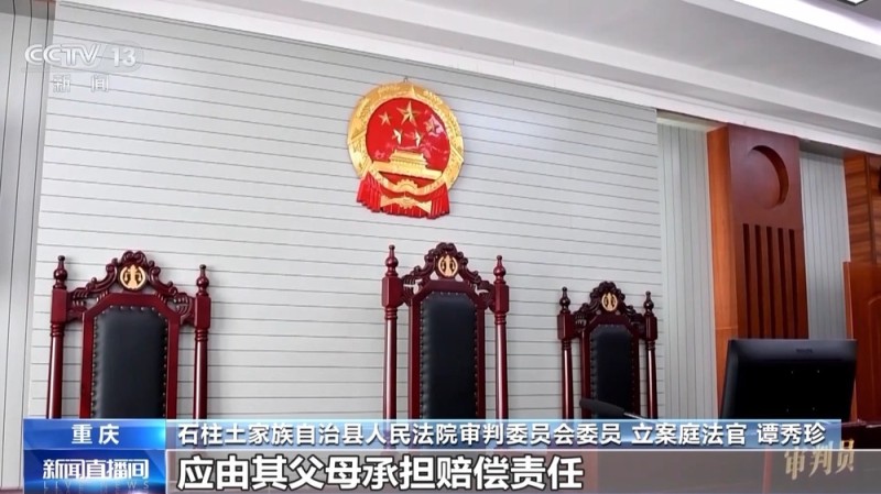 男孩路边玩篮球致骑行者伤残 谁担责？法院这样判→