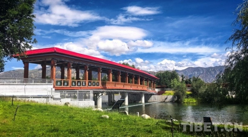 辉煌60年・我们的家园｜昔日荒滩变身美景 拉萨的诗意写在绿水青山间