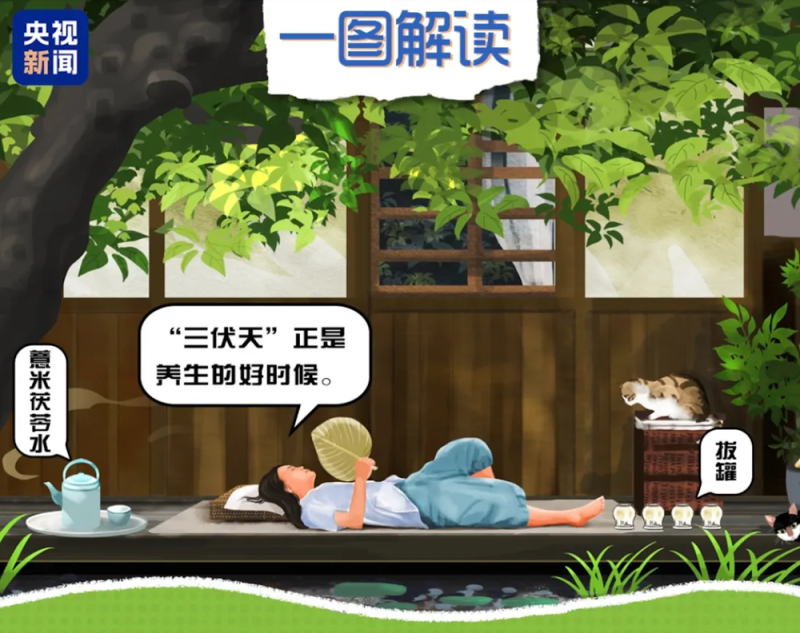 总台周末看点丨三伏凉方