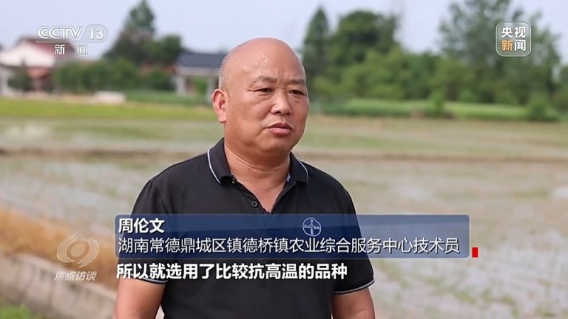焦点访谈丨良田+良种+良机+良法 来看各地保丰收秘籍