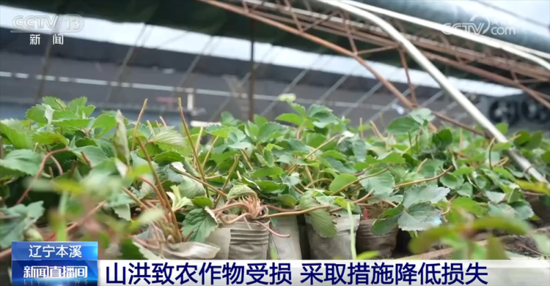保交通、保安全、保财产 多地以“雨”为令、闻“汛”而动全力应对强降雨天气