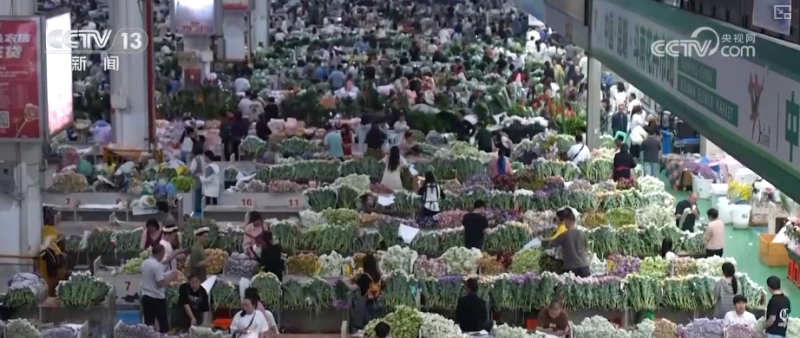 芬芳“夜经济”一路繁花燃动消费热力 定制化拍卖游客“尝尝鲜”