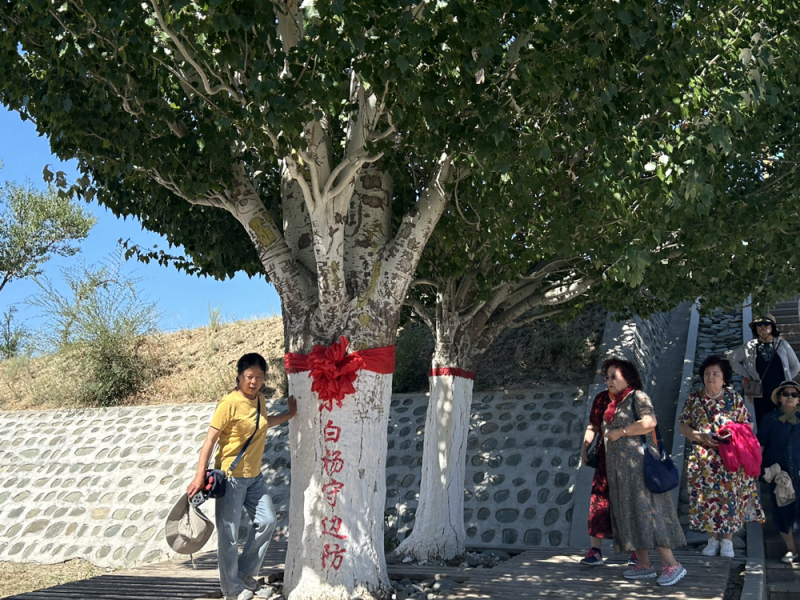 石榴花开 籽籽同心丨一棵白杨树 万千戍边情――探访塔城“小白杨哨所”的精神密码