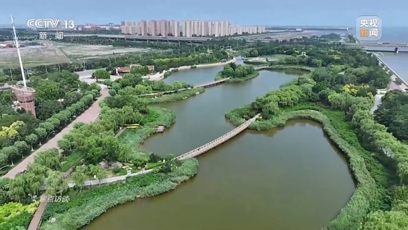 焦点访谈丨从理念到行动，中国的生态实践为世界提供绿色转型样本