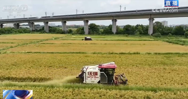 良机良种良技绘就早稻好“丰”景 “新农人”正逐渐成为“兴农人”