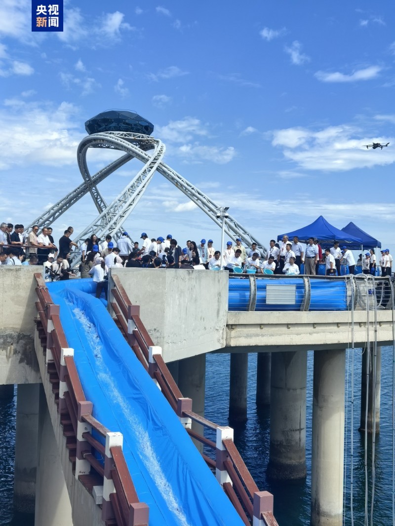 中韩两国联合放流水生生物苗种356万尾（只）
