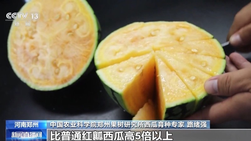 糖度50年提升3% 今年西瓜更甜了！还有新品种已在路上