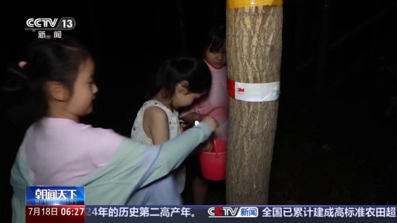 清凉+1欢乐+1 这个夏天超多爽爽的玩法等你来