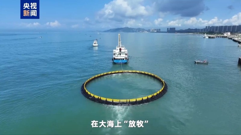 湾区速评丨大湾区发展海洋经济 这件“小事”为何这么关键？