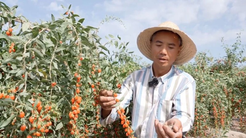 新华视点｜消费热潮奔涌  创新动能澎湃――夏日经济新观察