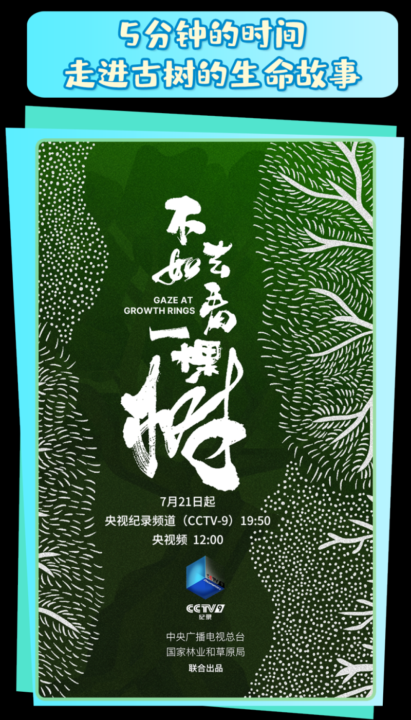 总台周看点丨暑极万物盛！