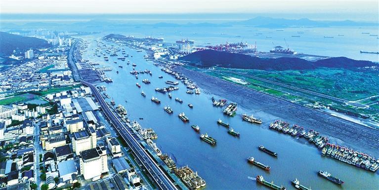 【践行习近平经济思想调研行】之江向海