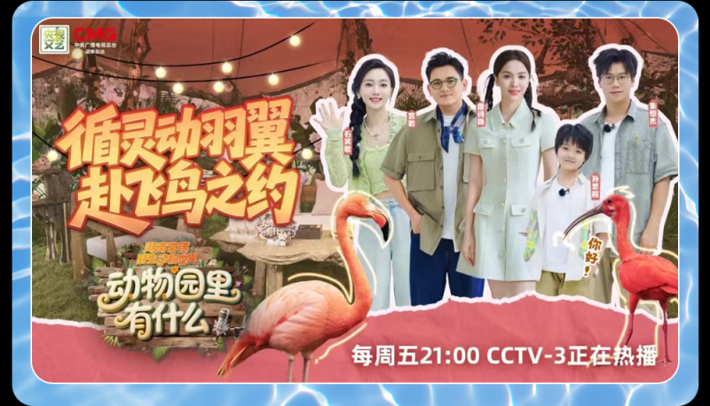 总台周末看点丨三伏凉方