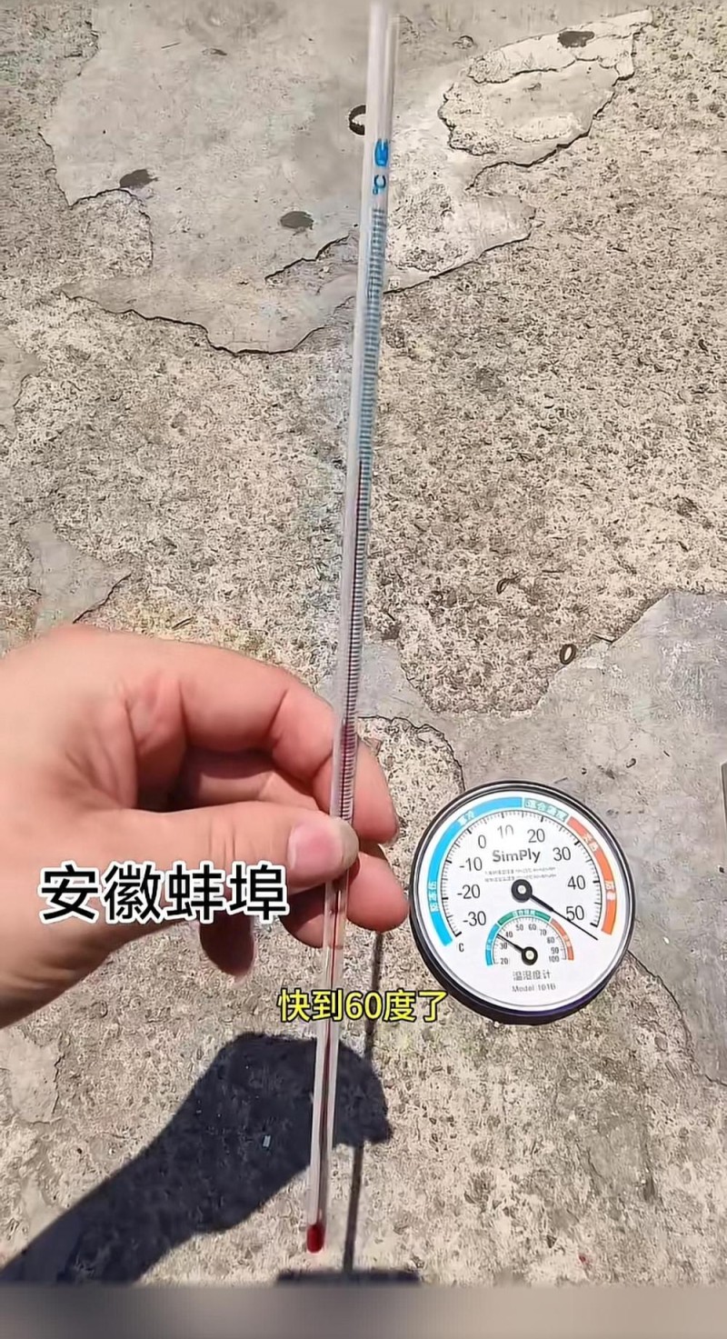 街头实测50℃ 天气预报却显示39℃ “温差”为何这么大？