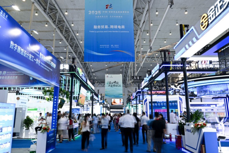 年中经济观察｜2025年中国外贸半年报：稳中有增 优中有升