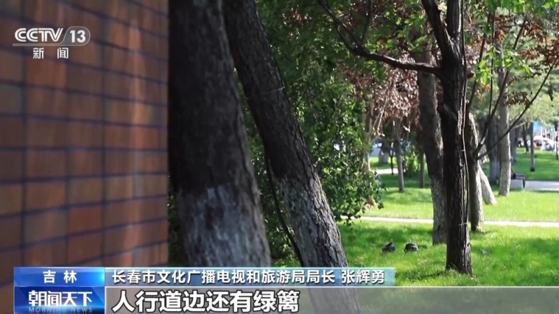 活力中国调研行丨 一砖一瓦皆故事 看百年老街如何焕新