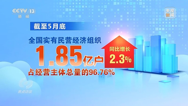 焦点访谈丨韧性十足 民营经济发展向好