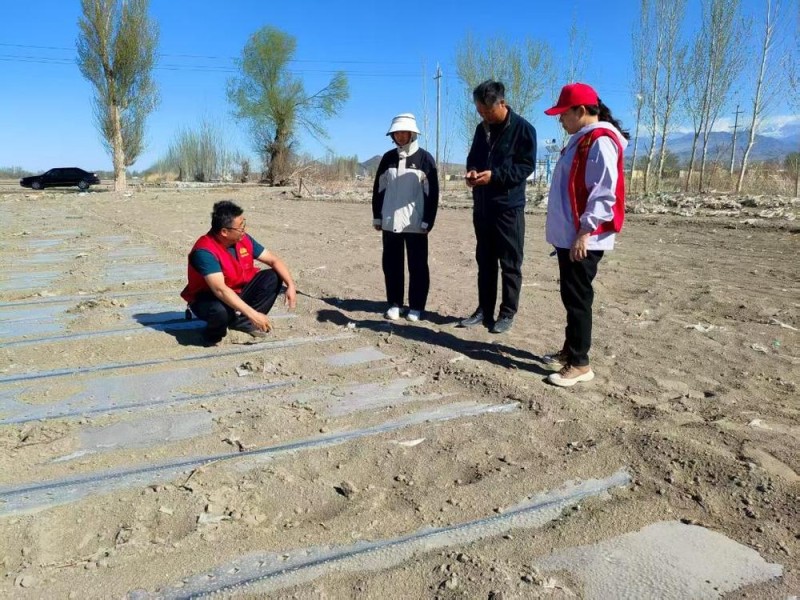 锲而不舍落实中央八项规定精神丨从会议桌转向田间地头――新疆精河县农技干部蹲点助农见闻