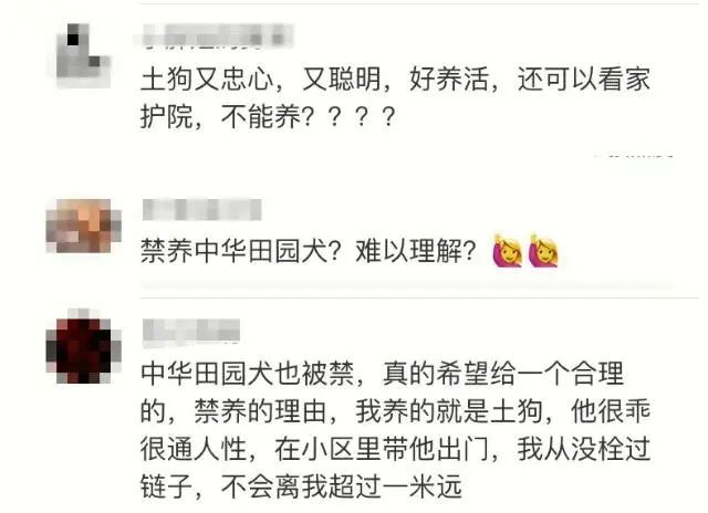 多地官宣：解禁！中华田园犬终获身份