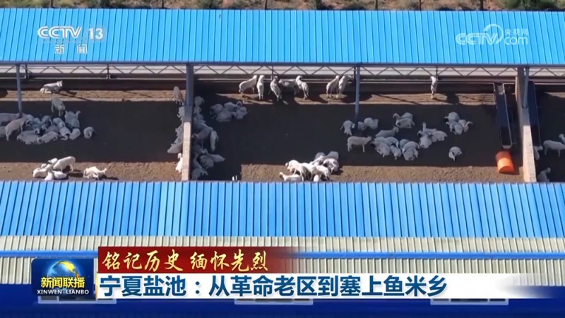 【铭记历史 缅怀先烈】宁夏盐池：从革命老区到塞上鱼米乡