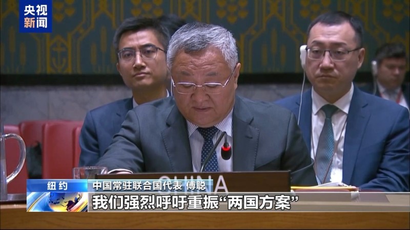 中方强烈要求加沙立即持久停火 呼吁重振“两国方案”