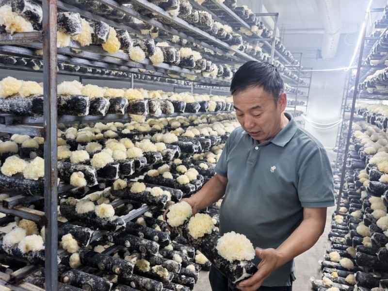 泰山天山根连根 鲁疆同心绘新篇――山东对口援疆助力喀什高质量发展纪实