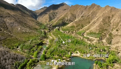 备好小马扎 共赴拉萨南北山“植”旅