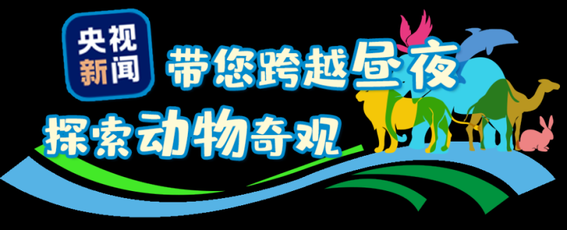 总台周看点丨暑极万物盛！
