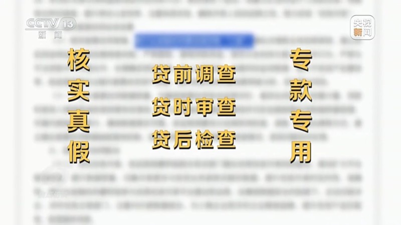 焦点访谈丨中介“做局”、银行放水 没偿还能力竟成功贷款48万元