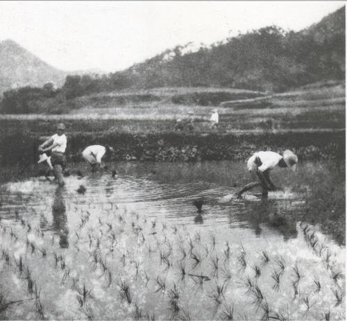 抗战影像记忆｜这些影像，让世界看见新四军抗战实况