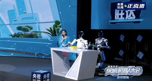 关于保姆机器人，你想知道的都在这里了